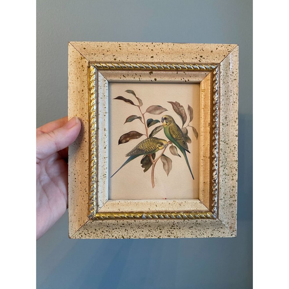 Vintage Speckled Gold Frame With Parakeet Print Art